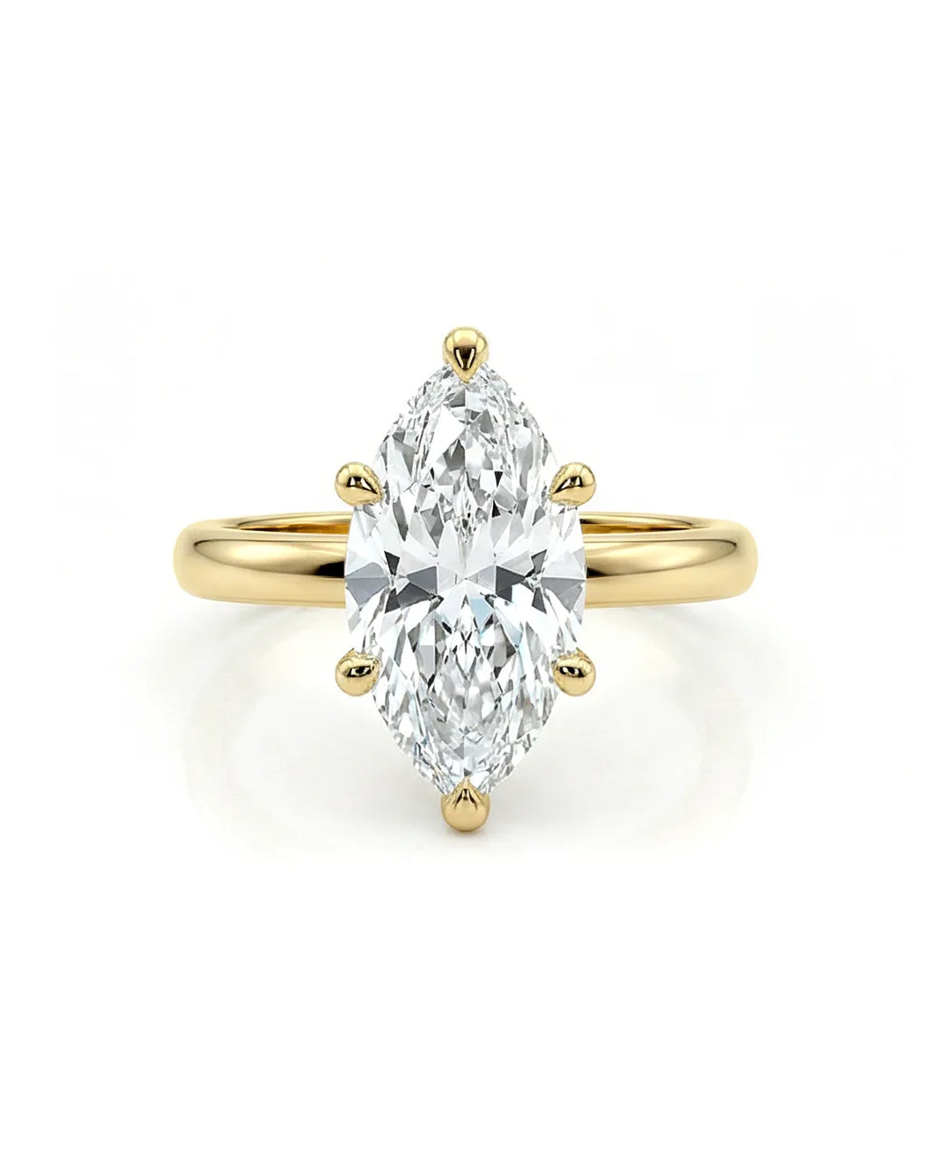 The Marquise