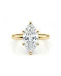 The Marquise