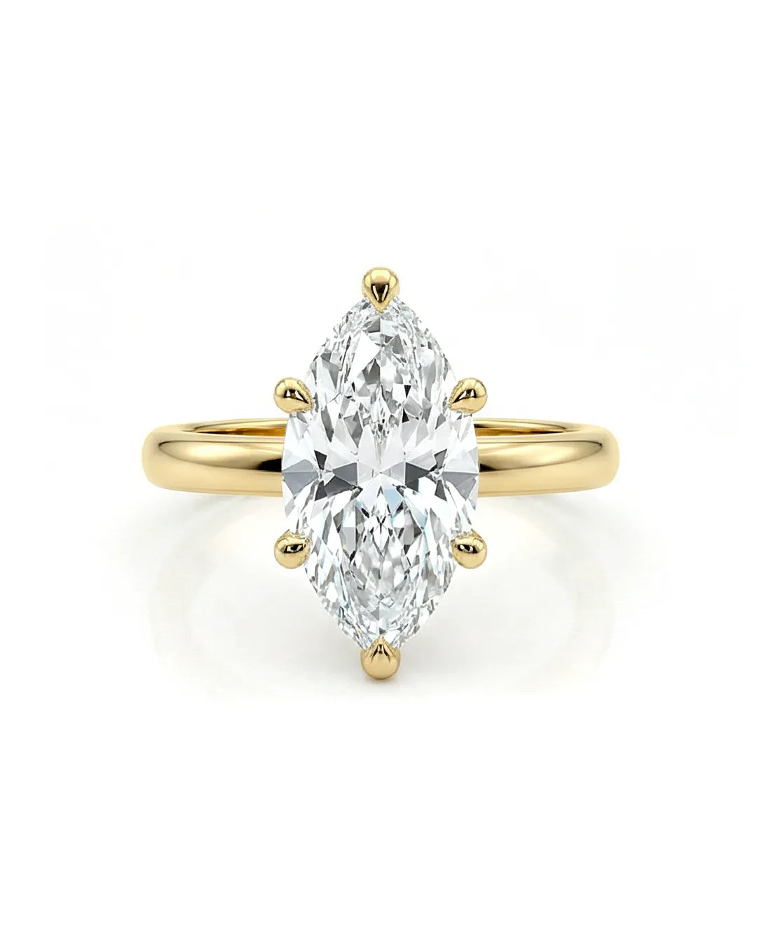 The Marquise