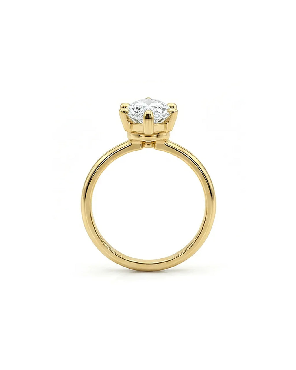 The Marquise
