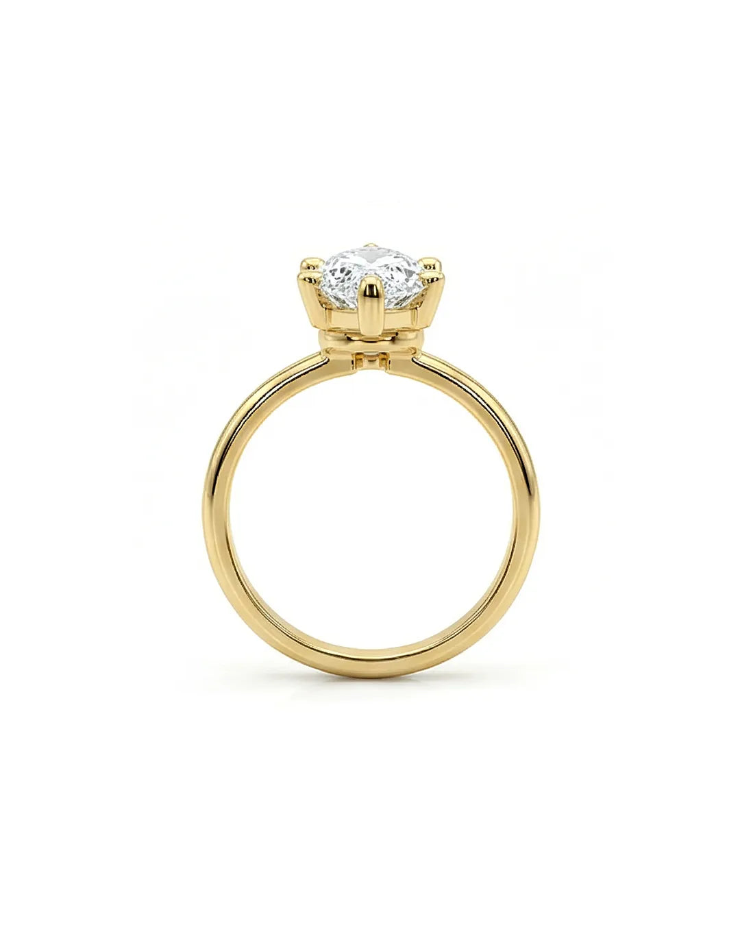 The Marquise