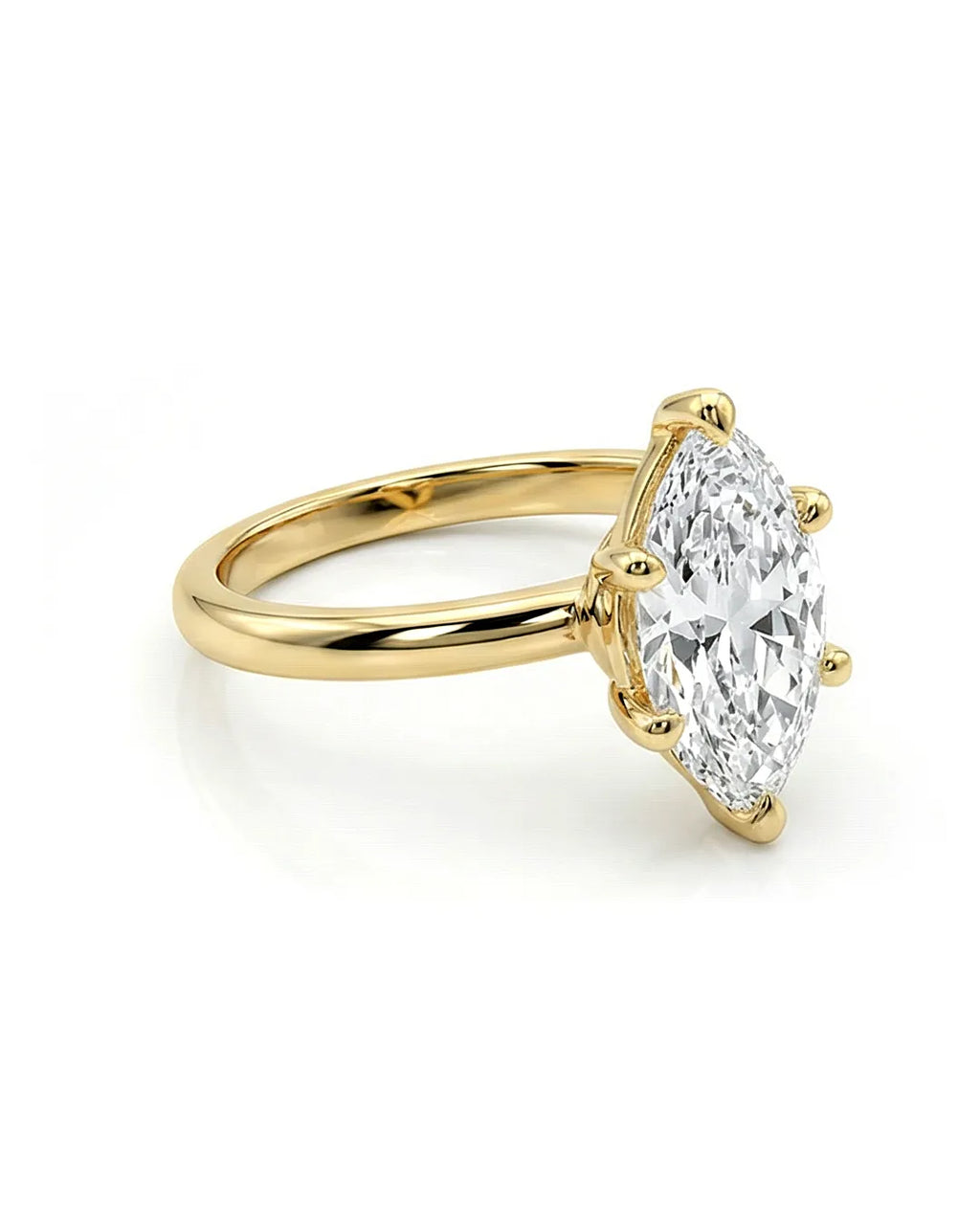 The Marquise