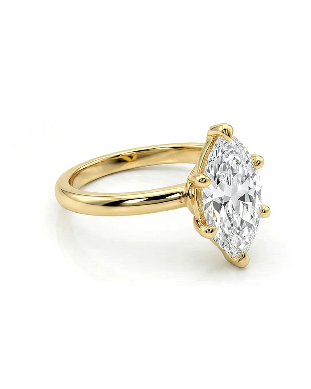 The Marquise